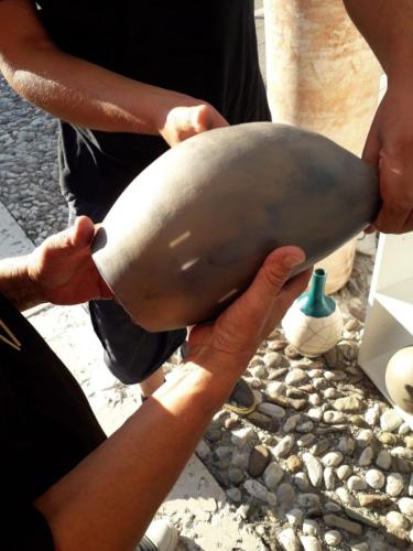 photo 2022-11-16 11-37-10