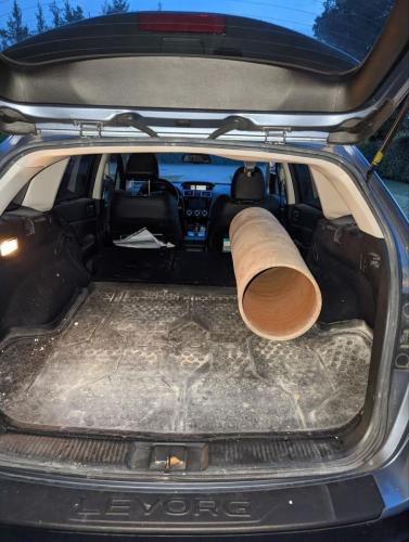 photo 2022-11-16 11-37-23